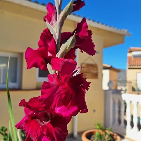 Appartement Casa Mirador Perea *
